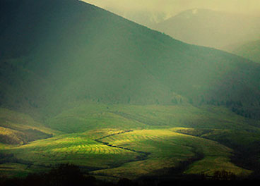 服务器攻击方式